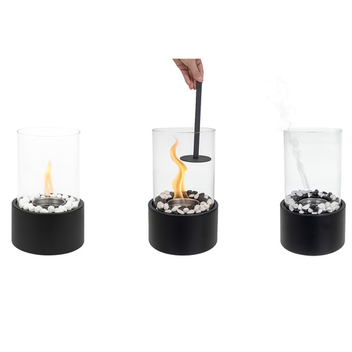 eng_pl_Biofireplace-28x16cm-Kaminer-26300-18396_10