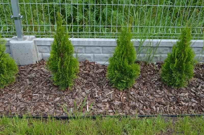 plastikustääretugi11